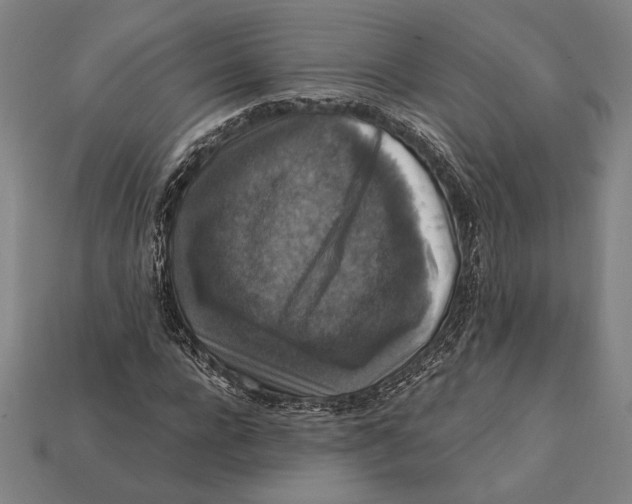 X0000112420920200909111007