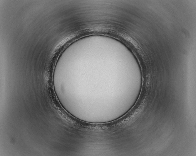 X0000112420922200909111007