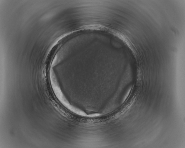 X0000112420923200909111007