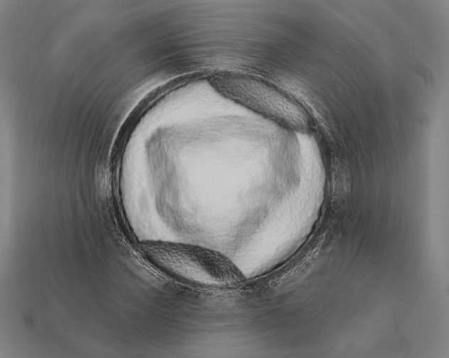 X0000112420924200909111007