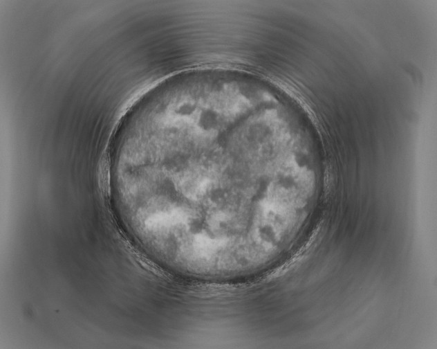 X0000112420925200909111007