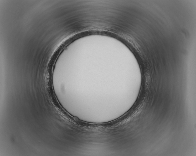 X0000112420926200909111007