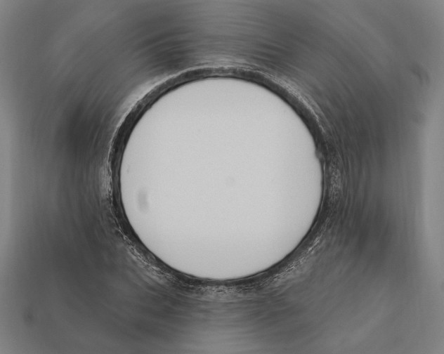 X0000112420927200909111007