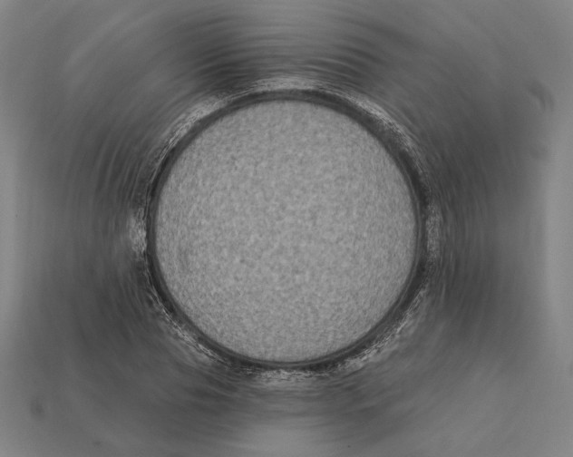 X0000112420929200909111007