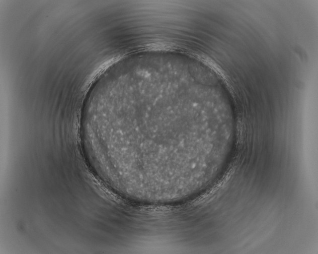 X0000112420930200909111007