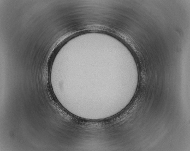 X0000112420931200909111007