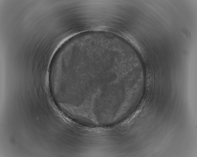 X0000112420932200909111007