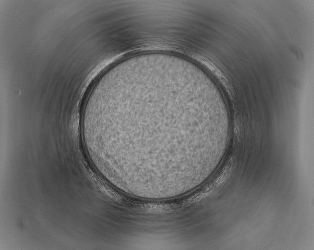 X0000112420933200909111007