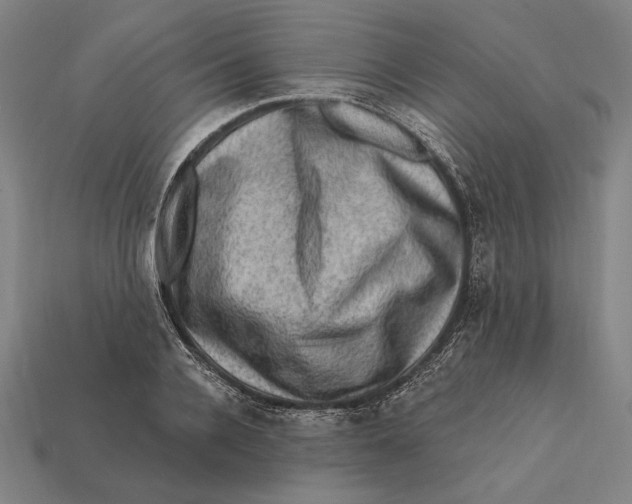 X0000112420936200909111007