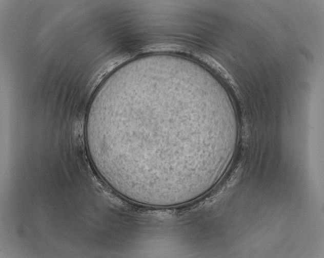 X0000112420937200909111007