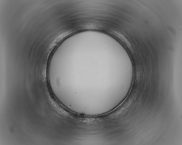 X0000112420938200909111007