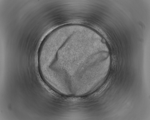 X0000112420939200909111007