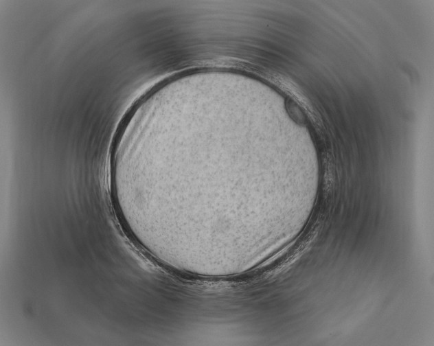 X0000112420940200909111007