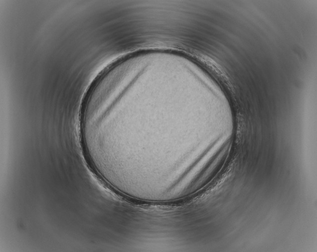 X0000112420942200909111007