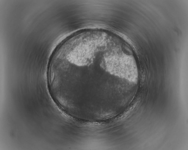 X0000112420943200909111007