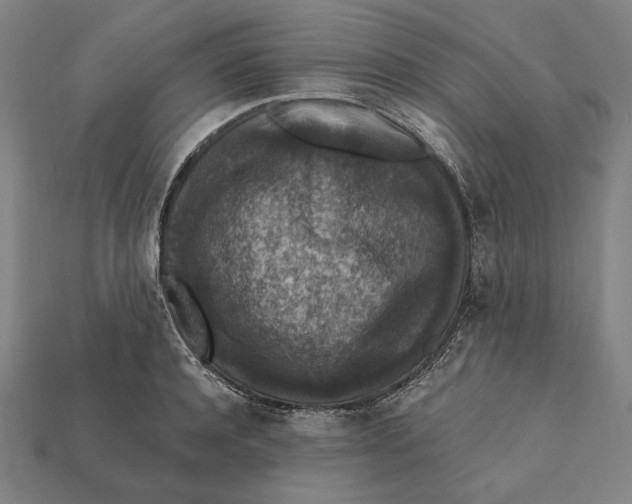 X0000112420944200909111007