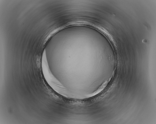 X0000112420945200909111007