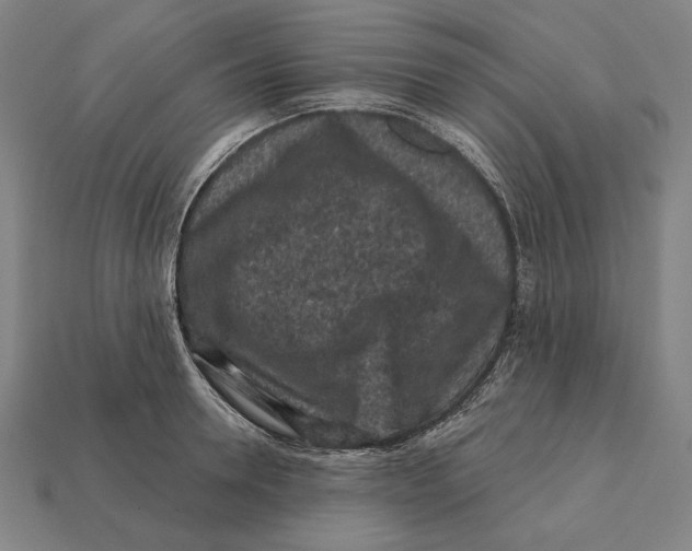 X0000112420946200909111007