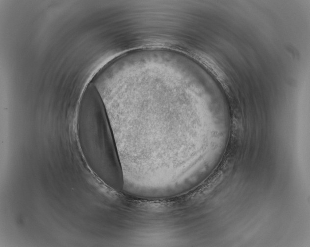 X0000112420948200909111007