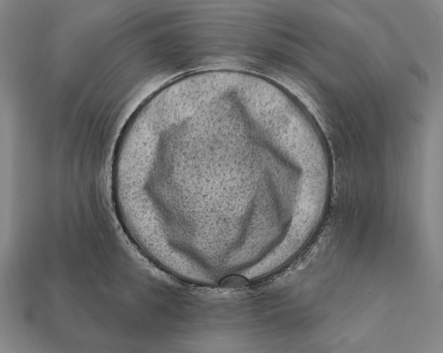 X0000112420949200909111007