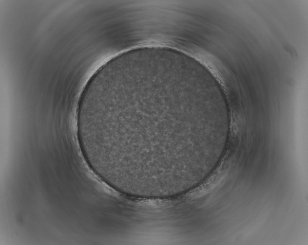 X0000112420950200909111007