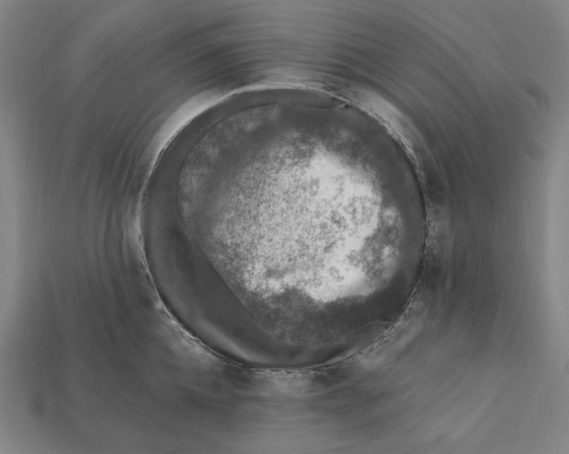 X0000112420952200909111007