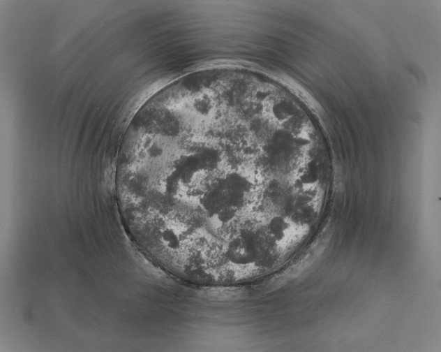 X0000112420953200909111007