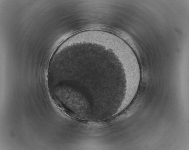 X0000112420954200909111007