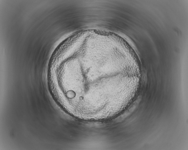 X0000112420957200909111007