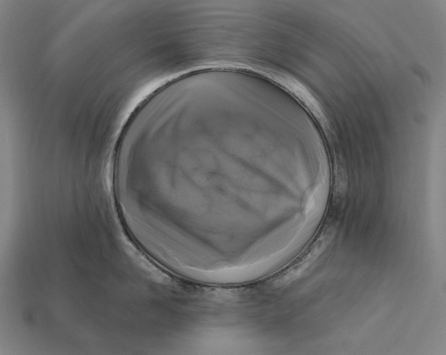 X0000112420958200909111007