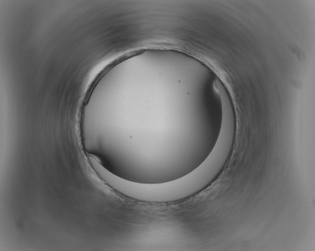 X0000112420960200909111007