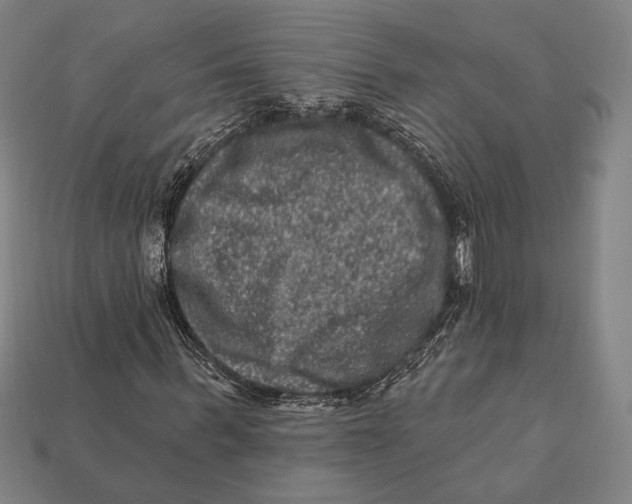 X0000112420963200909111007