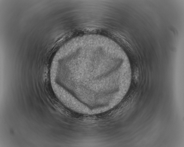 X0000112420964200909111007