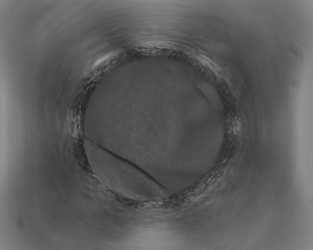 X0000112420965200909111007