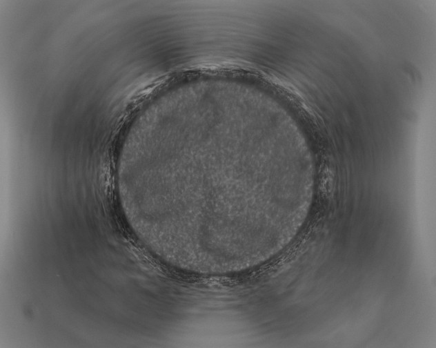 X0000112420966200909111007