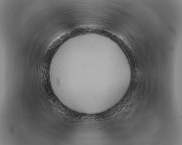 X0000112420967200909111007