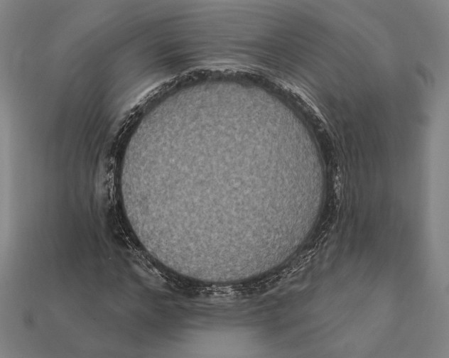 X0000112420968200909111007