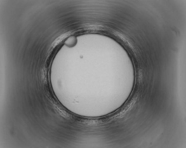 X0000112420970200909111007