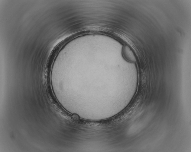 X0000112420971200909111007