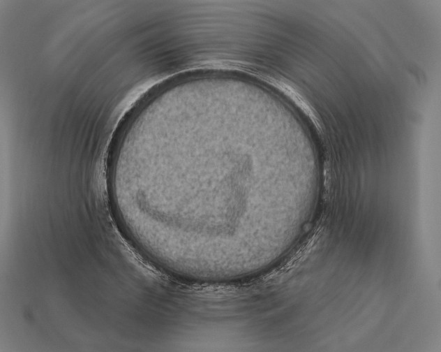 X0000112420972200909111007