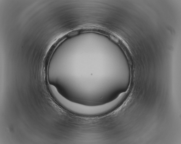 X0000112420973200909111007