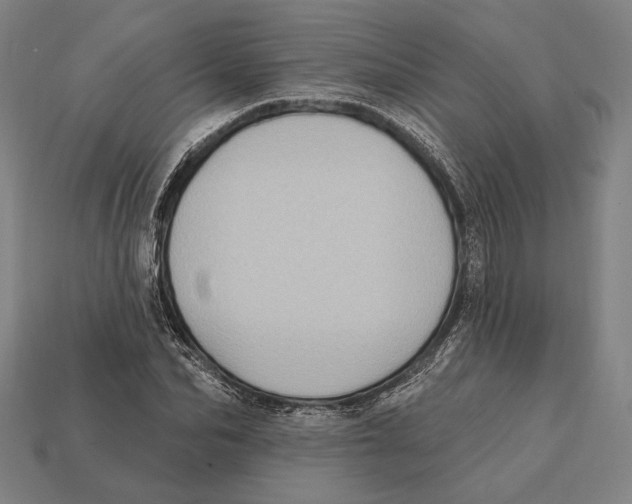 X0000112420974200909111007