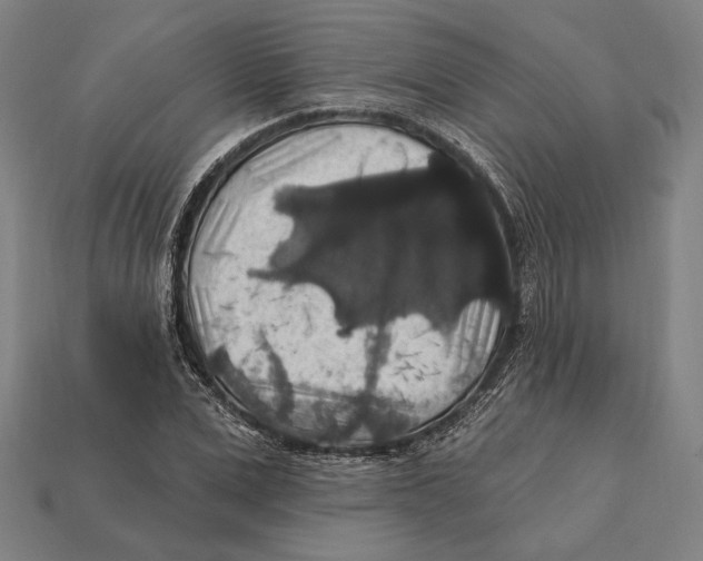 X0000112420975200909111007