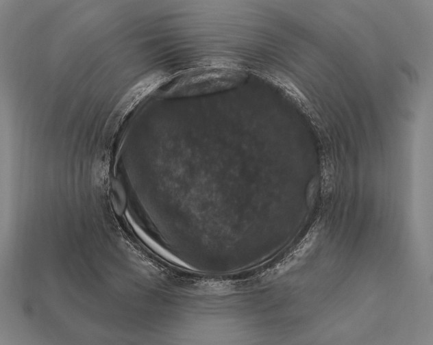 X0000112420977200909111007