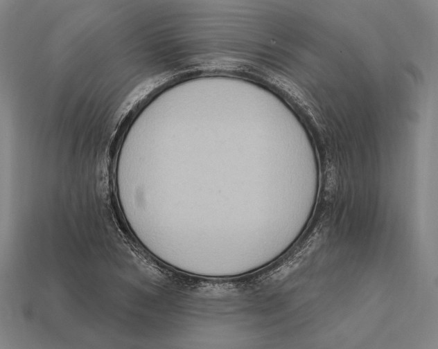 X0000112420978200909111007