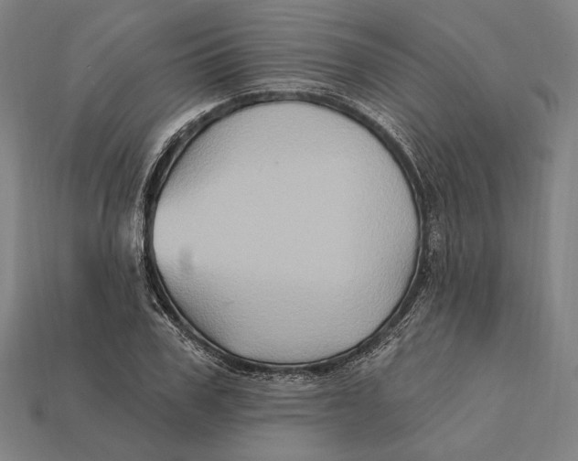 X0000112420979200909111007