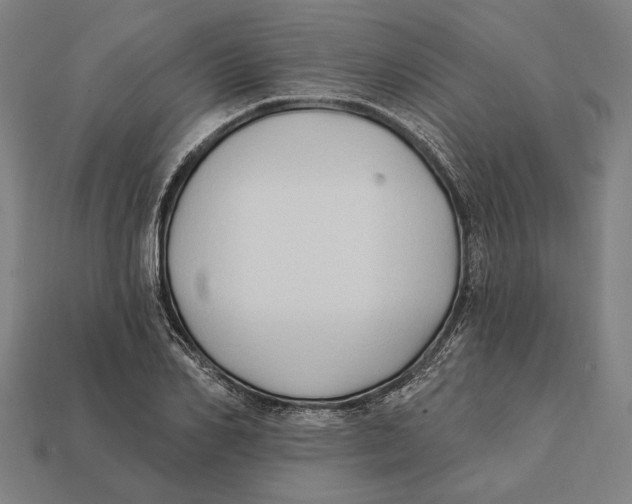 X0000112420982200909111006