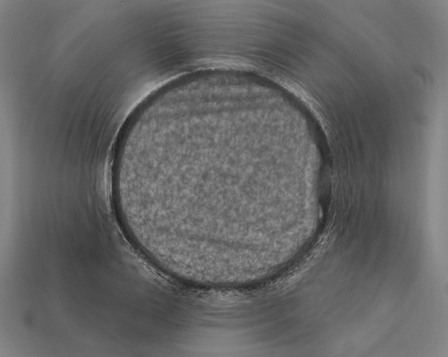 X0000112420983200909111006