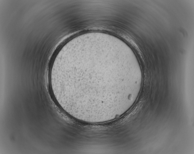 X0000112420984200909111006