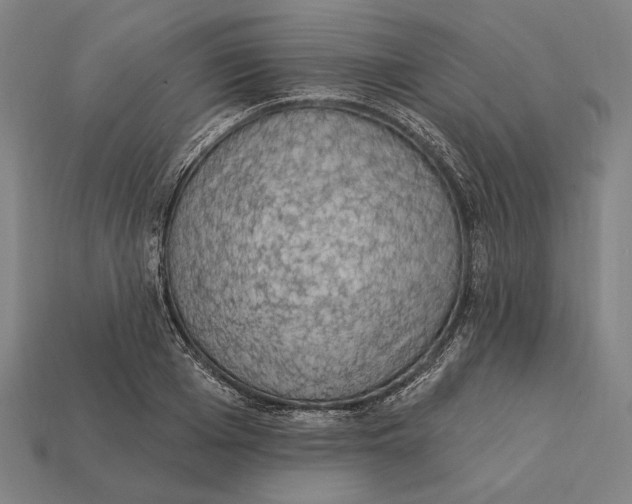 X0000112420985200909111006